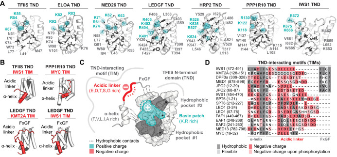 Figure 2.