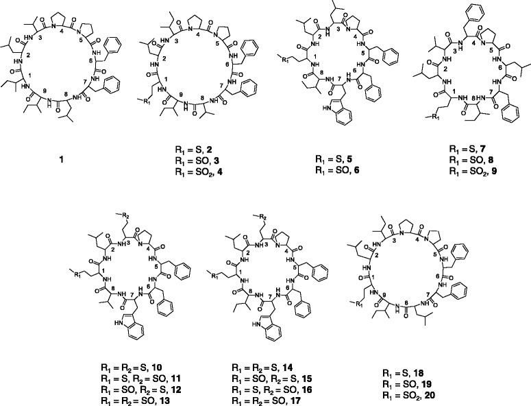 Fig. 1