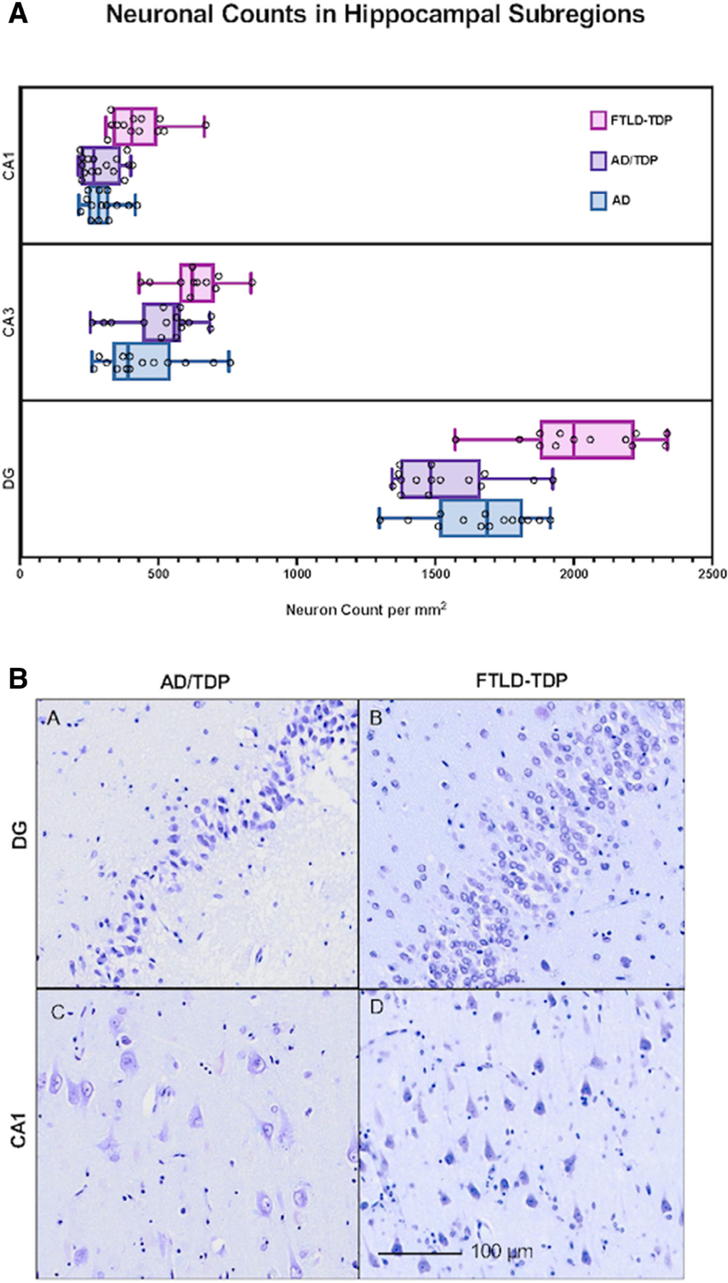 FIGURE 5: