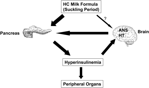 FIGURE 3 