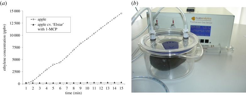 Figure 5.