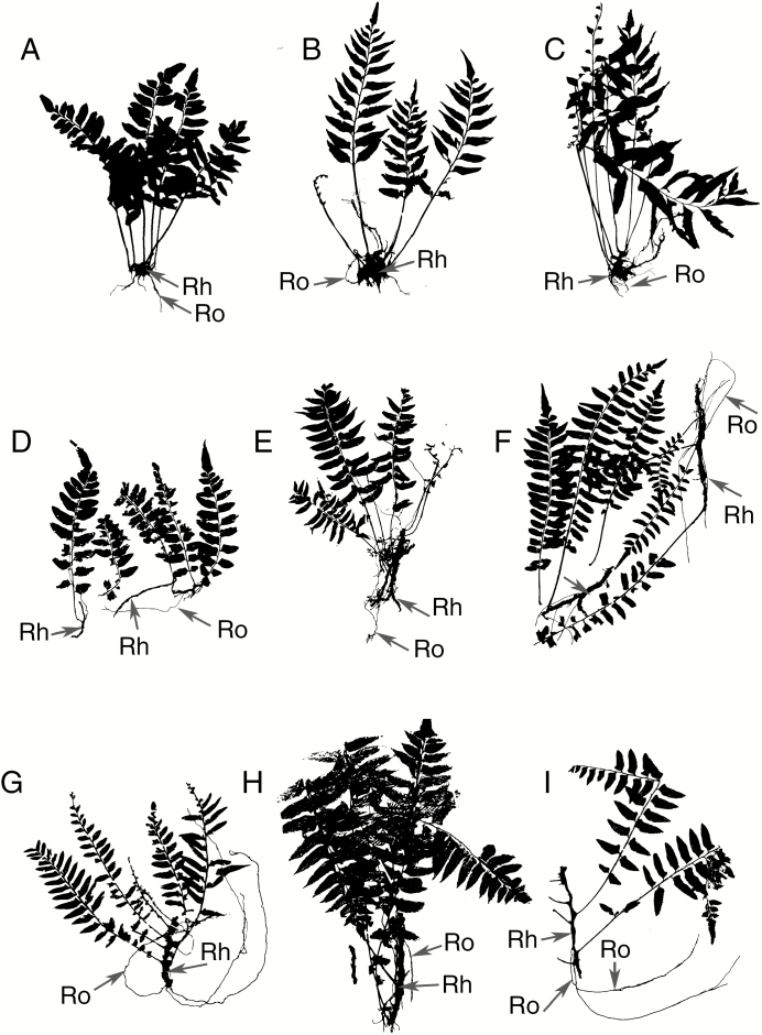 Fig. 3.