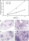 <b>Figure 2.</b>