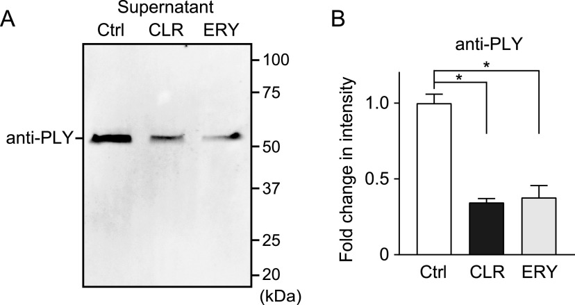 FIG 2