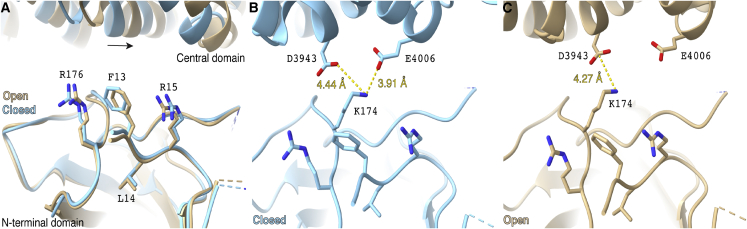 Figure 7