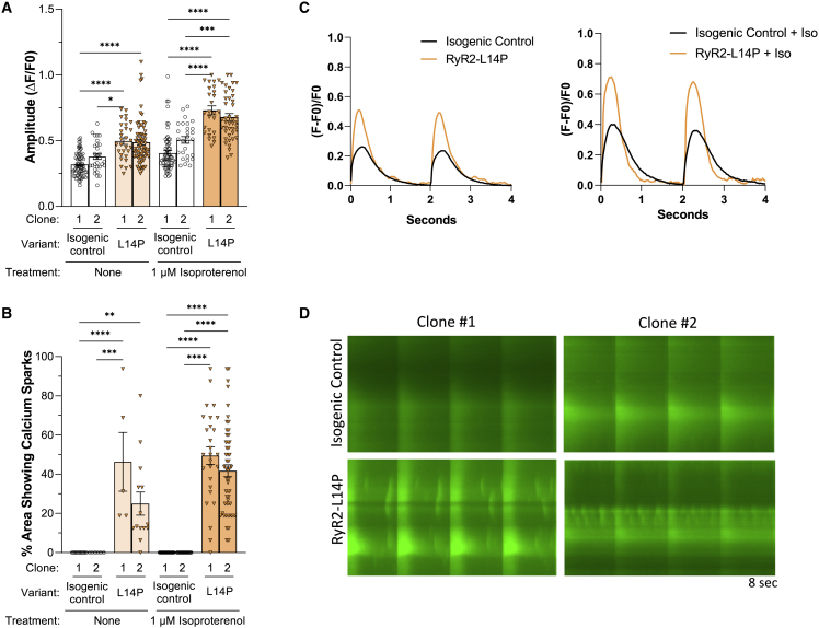 Figure 2