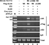 FIG. 10.