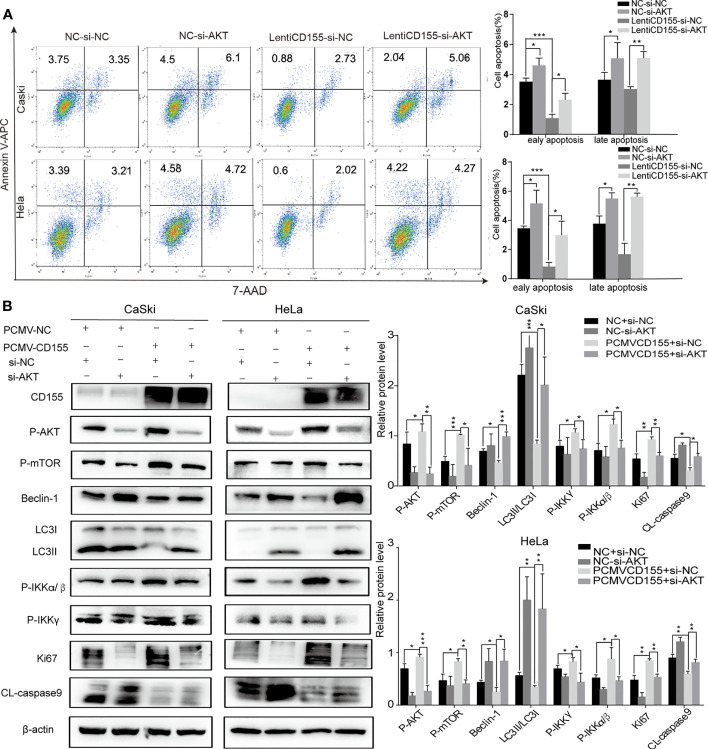 Figure 5