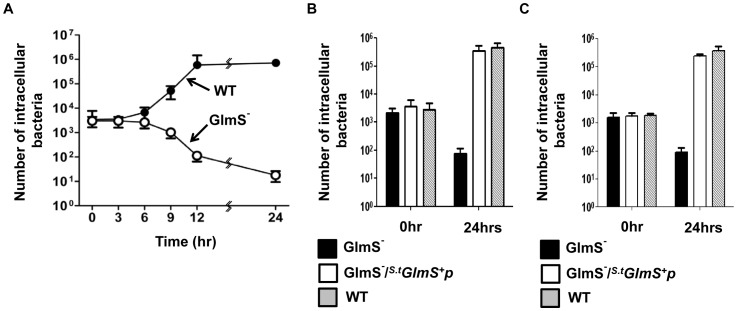 Figure 6