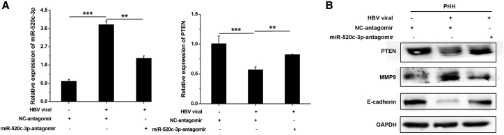 Figure 5