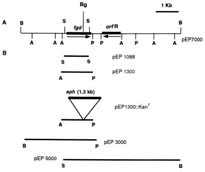 FIG. 1