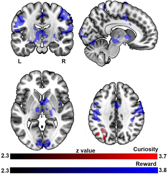The effect of intrinsic and extrinsic motivation on memory formation ...