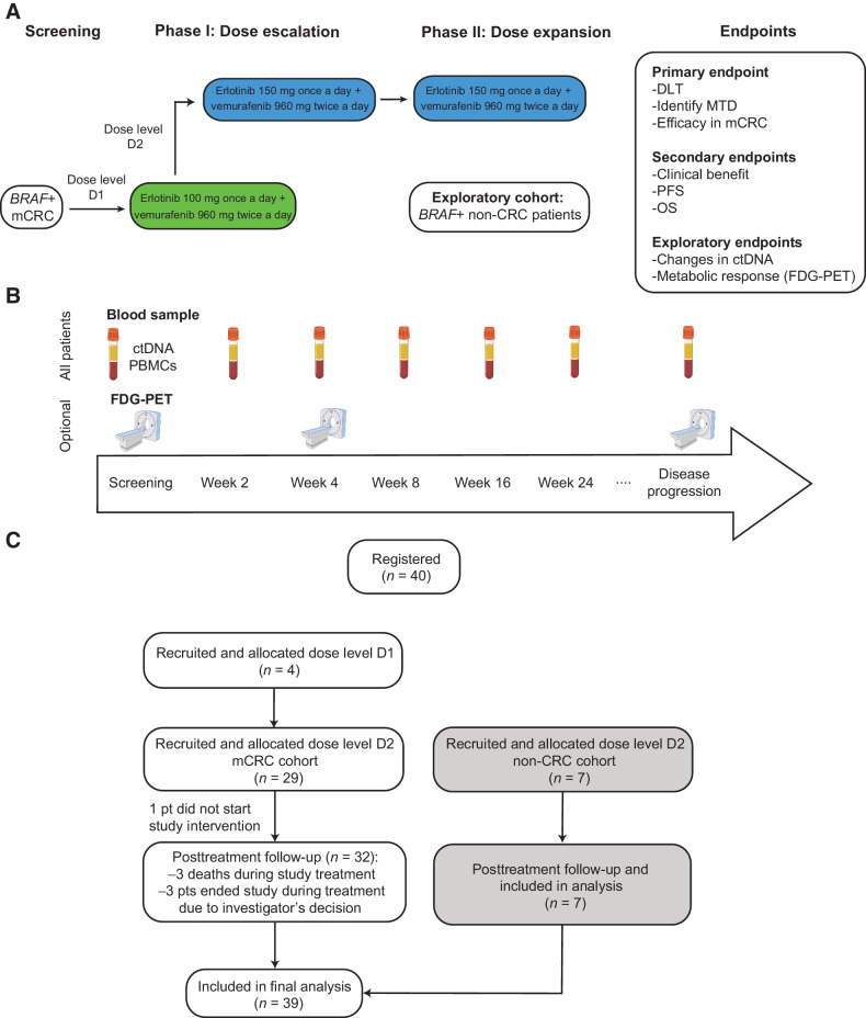 Figure 1. Design of the EViCT clinical trial. A, Clinical trial design and consort flow diagram. Patients with BRAF V600E positive mCRC were treated with vemurafenib and erlotinib (in escalating doses) in a 3 + 3 phase 1 design. Once the RP2D was determined, an additional 28 patients were enrolled in the colorectal cancer dose expansion cohort and 7 patients in the exploratory non-colorectal cancer dose expansion cohort. B, Study overview and samples for translational research. C, Clinical trial consort diagram with final number of patients recruited and analyzed in dose escalation phase, dose expansion colorectal cancer cohort and dose expansion non-colorectal cancer cohort.