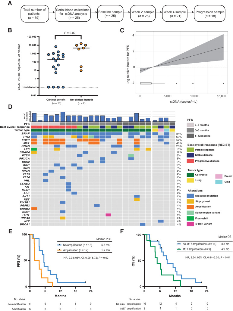 Figure 3. Baseline ctDNA analysis. A, Consort diagram of plasma samples analyzed from EViCT trial. B, Baseline ctDNA levels (copies/mL) according to clinical benefit rate. C, Linear Cox regression model showing the association between ctDNA copies/mL (as assessed by ddPCR) and PFS (95% CI represented by shading). D, Landscape of somatic mutations detected through targeted sequencing of baseline plasma DNA in 25 patients enrolled on the EViCT trial. Each column represents an individual patient, and each row indicates a specific alteration. The color of bars is indicative of the type of mutation with grey = wild-type. The bar diagram on the top shows the total number of detectable mutations per patient. E, Kaplan–Meier estimate of PFS for patients (n = 25) with a detectable amplification(s) versus no amplification in baseline plasma. Amplification is defined as the presence of any amplification in EGFR, MET, and/or ERRB2. F, Kaplan–Meier estimate of OS for patients (n = 25) with a detectable MET amplification versus no MET amplification in baseline plasma.