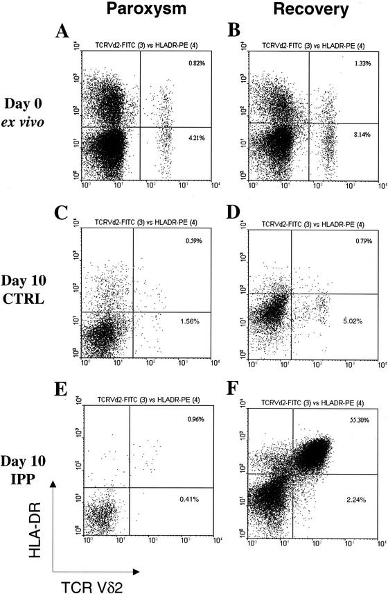 FIG. 2.