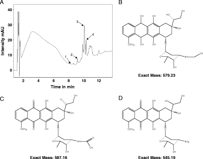 Fig. 7