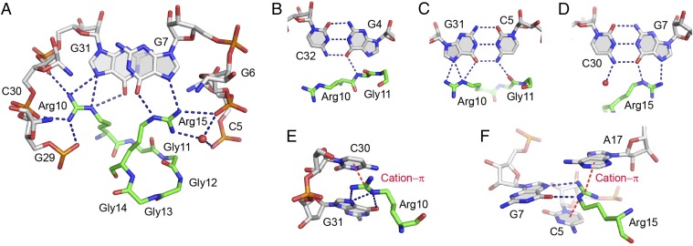 Fig. 4.