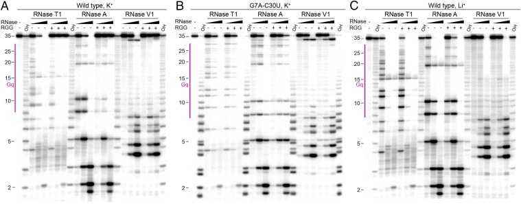 Fig. 6.