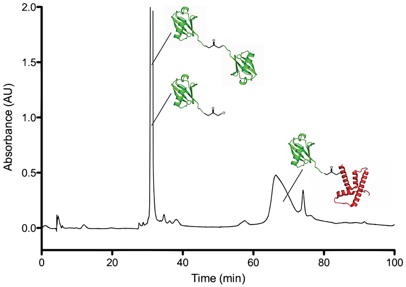 Figure 2: