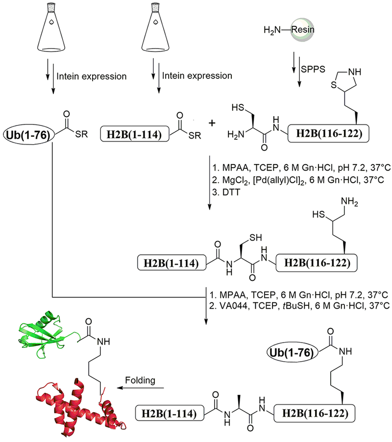 Figure 3: