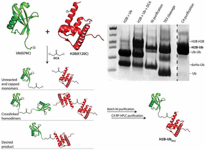 Figure 1: