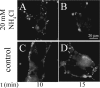 FIG. 4.