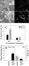 FIG. 7.