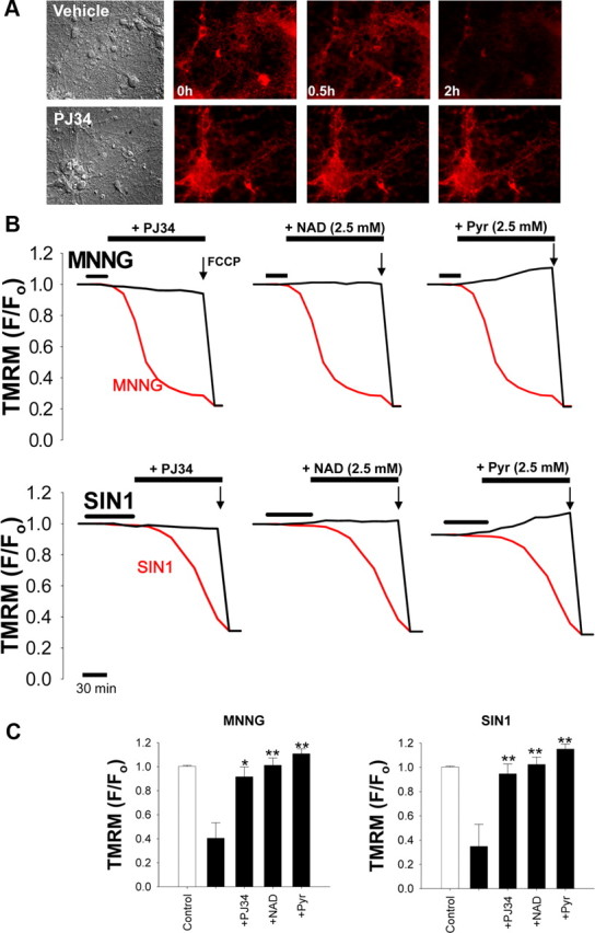 Figure 6.