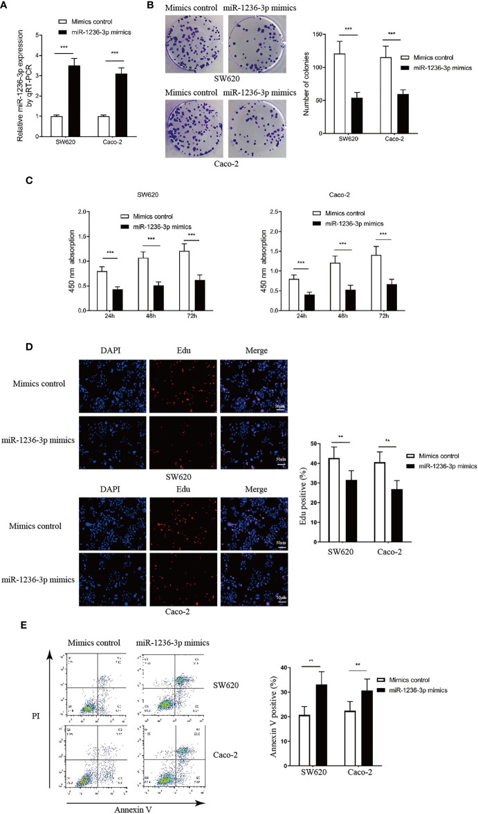 Figure 2