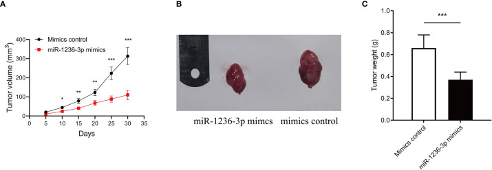 Figure 4