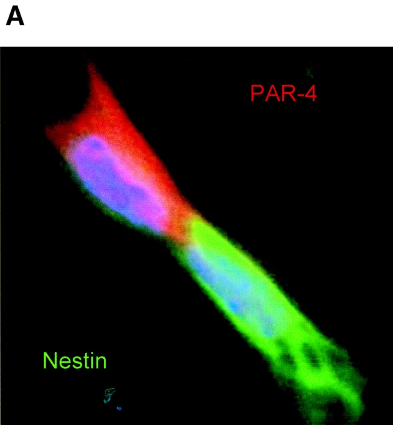 Figure 9.