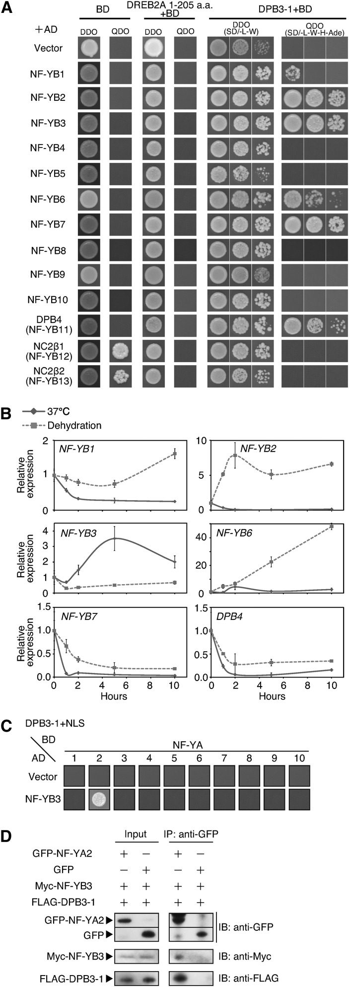 Figure 6.