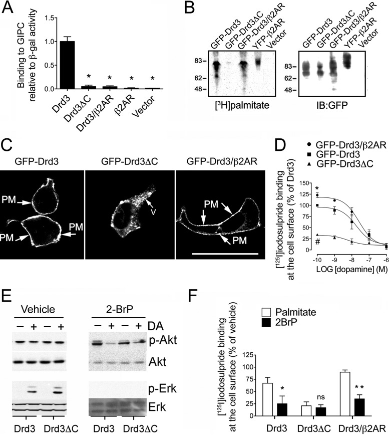 FIG 8