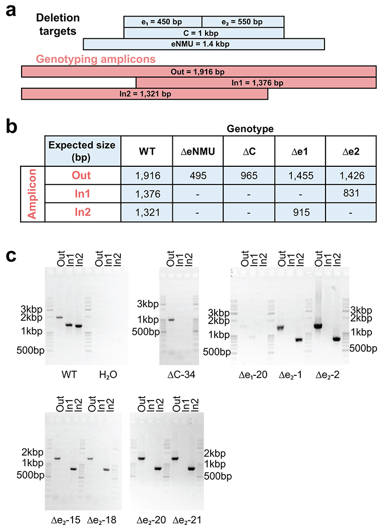 Extended Data Fig. 8