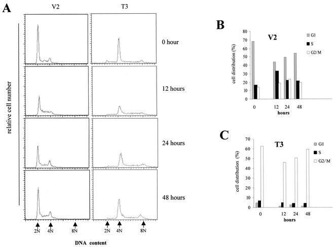 FIG. 7.