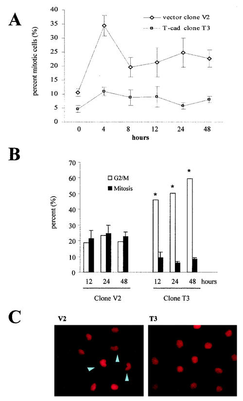 FIG. 8.