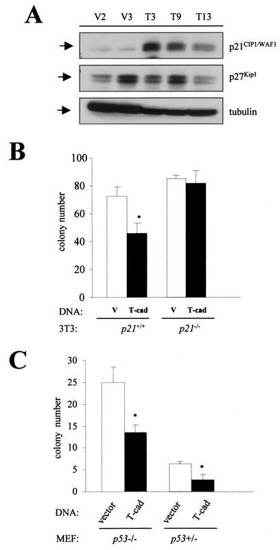 FIG. 9.