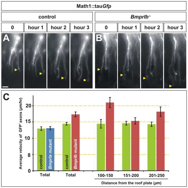 Fig. 4.