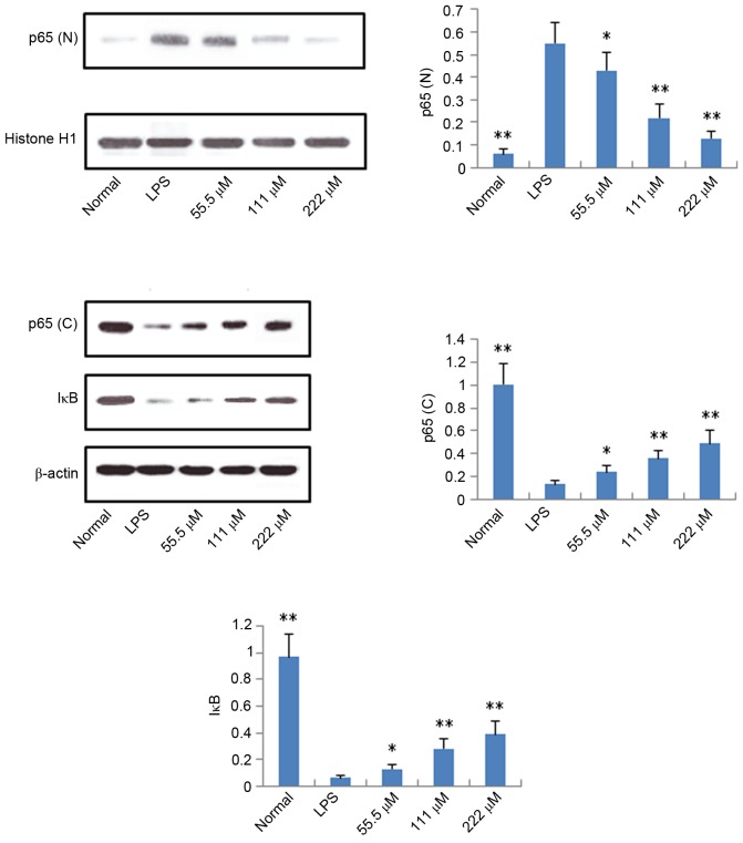 Figure 7.