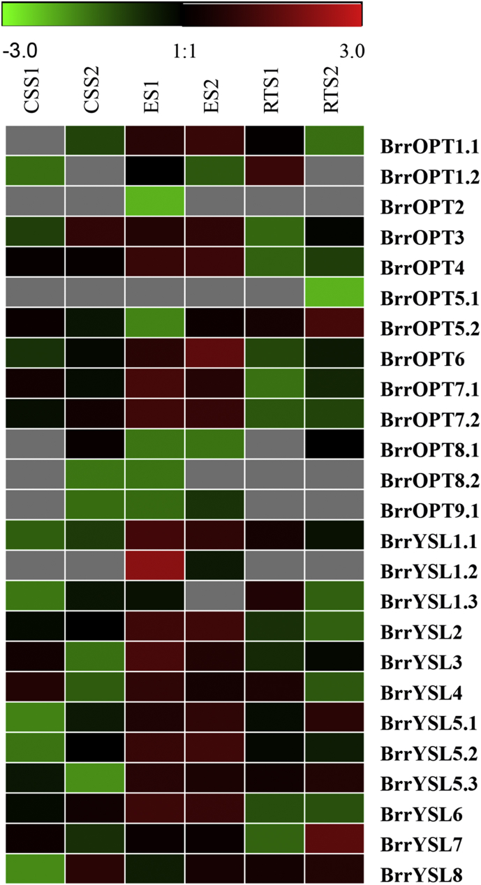 Fig. 3