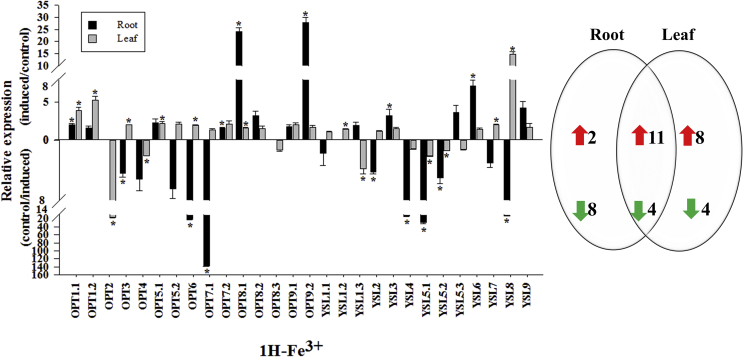 Fig. 4