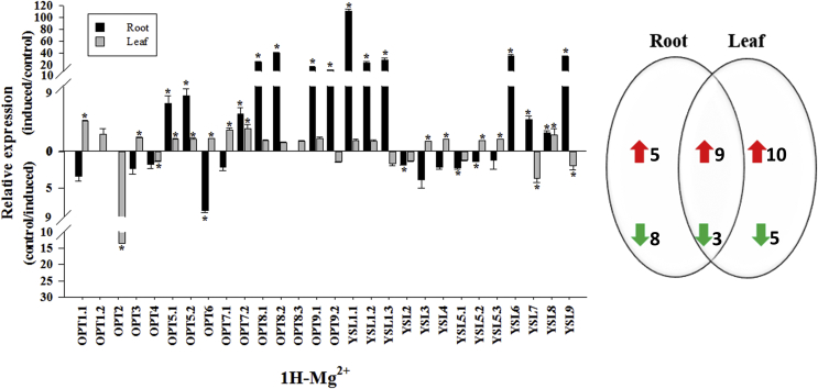 Fig. 7