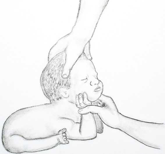 Fig. 3.