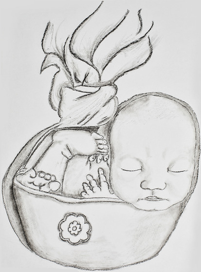 Fig. 2.
