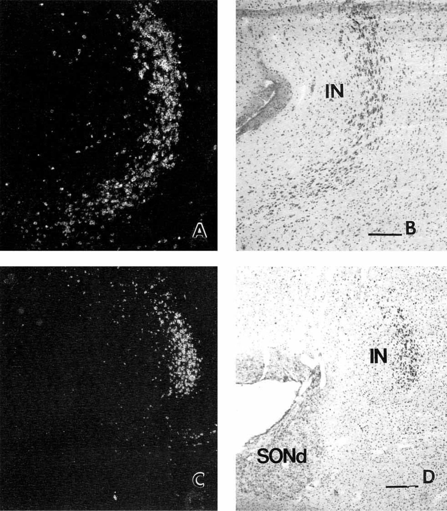 Figure 9.