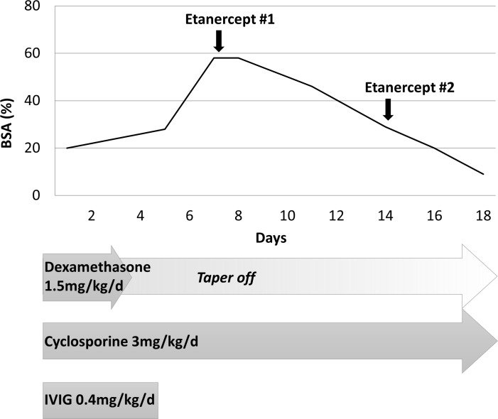 Figure 2