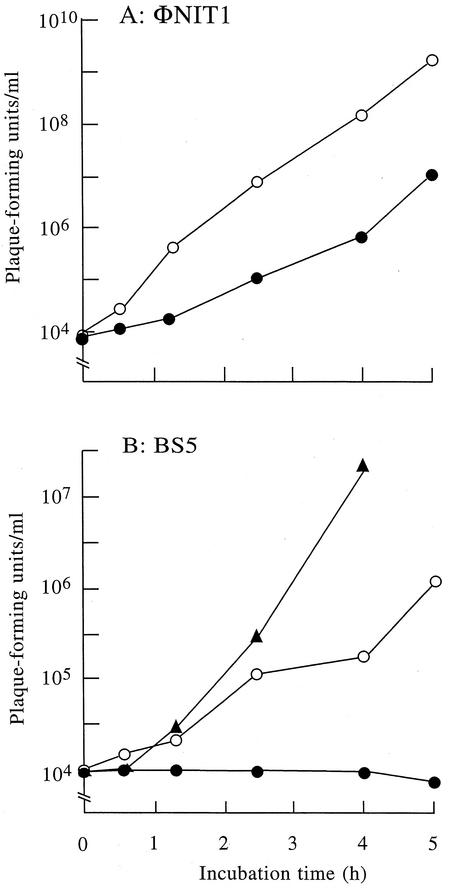 FIG. 6.