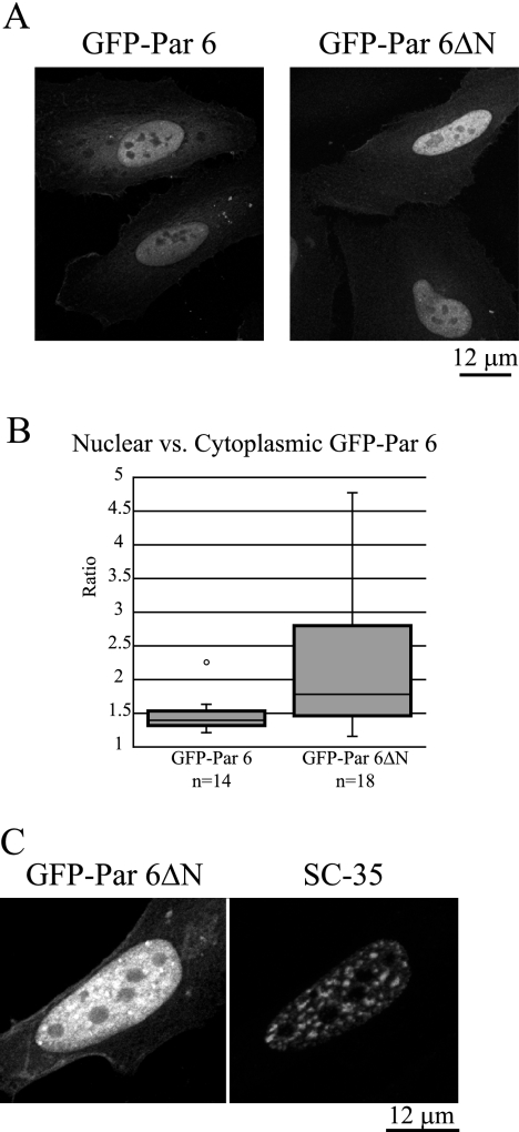 FIG. 7.