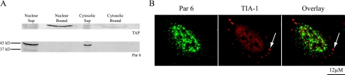 FIG. 11.