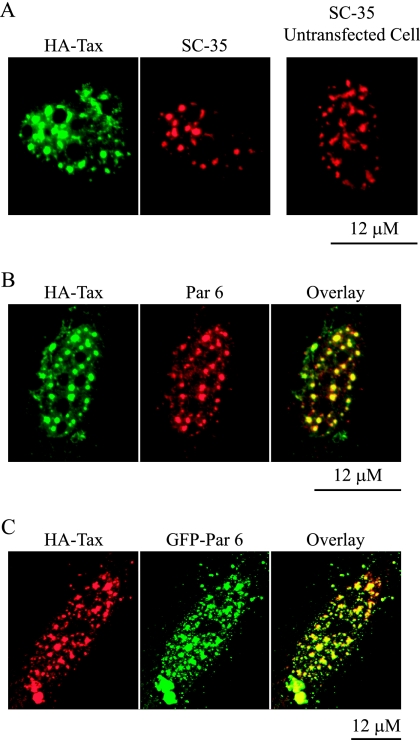 FIG. 12.